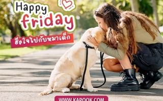 ดวงวันนี้