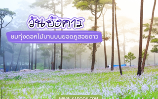 ดวงวันนี้