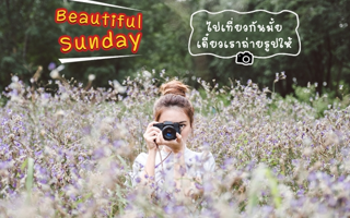 ดวงวันนี้