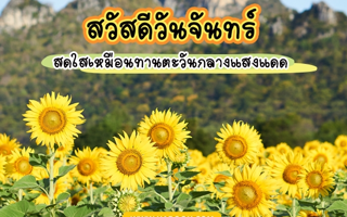 ดวงวันนี้