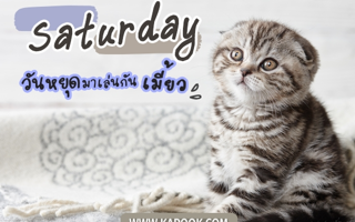 ดวงวันนี้
