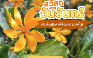 ดวงวันนี้