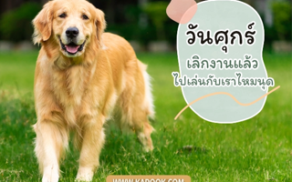 ดวงวันนี้