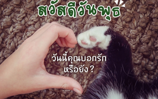 ดวงวันนี้