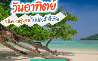 ดวงวันนี้