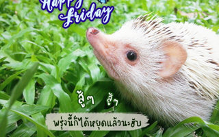 ดวงวันนี้