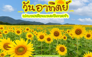 ดวงวันนี้