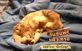 ดวงวันนี้