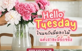 ดวงวันนี้