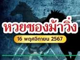 หวยม้าวิ่งมาแล้ว แนวทางเลขวิ่งงวด 16/11/67 ที่คอหวยรอคอย