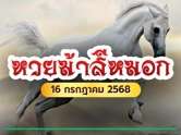 ด่วน ! หวยม้าสีหมอก การันตีความแม่น ปล่อยเลขเด็ดงวดนี้ 16 ก.ค. 68