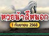 ไม่ดูไม่ได้ ! หวยม้าสีหมอกปล่อยของเน้น ๆ เลขเด็ดงวด 1 ก.ย. 68 คอหวยแห่ซื้อตามด่วน