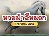 พิสูจน์ความแม่น หวยม้าสีหมอก งวดนี้ 1 ก.ค. 68 รีบส่องกันให้ไว