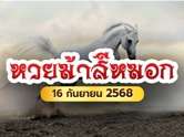 เลขดังห้ามพลาด ! หวยม้าสีหมอกปล่อยเลขวิ่ง ทั้งเด่น-เลขรองงวดนี้ 16/09/68