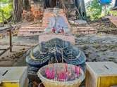 เลขธูปให้โชค ! สายมูแห่ขอเลขวิหารแกลบ วัดหนองเต่า อ่างทอง ลุ้นหวยเด็ดงวดนี้ 1 พ.ย. 68