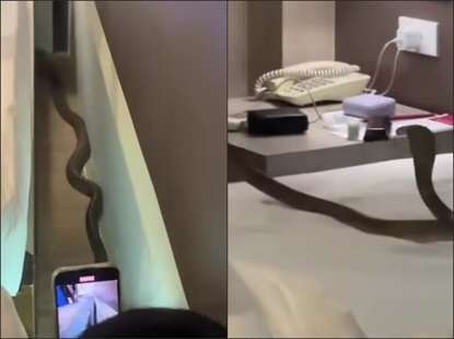 สยอง คู่รักนอน รร.กระบี่ เย็นวูบ..เจองูเลื้อยพาดคอ แฟนยังนึกว่าเจอผี เลขห้องอะไร ? 