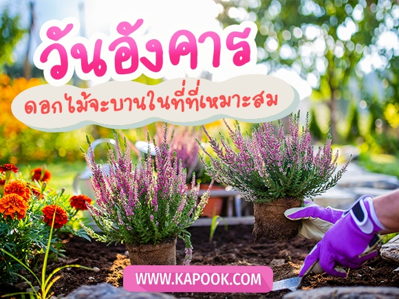 .ดูดวงรายวัน วันที่ 22 เมษายน 2568.